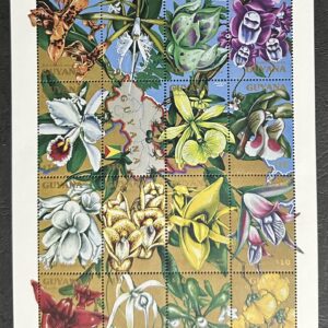 Orchids of Guyana