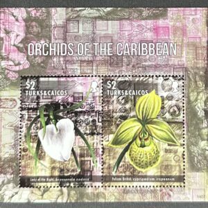 Turks & Caicos (2014)