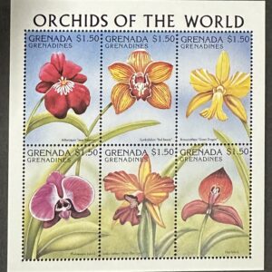 Orchids of the World