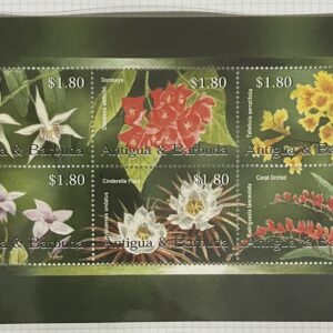 Antigua y Barbuda - Orchids