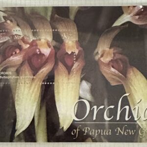 Orchids of Papua