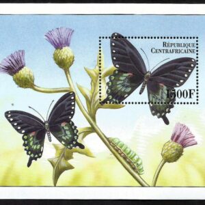 Central Africa (1999) Butterflies