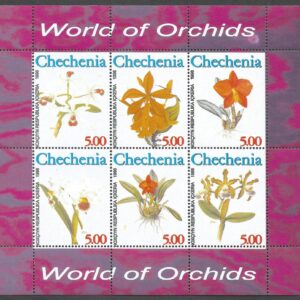 Chechenia - World of Orchids