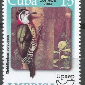 Cuba - Pájaro carpintero