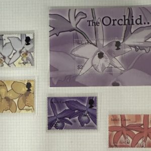 Set orquídeas Turks & Caicos