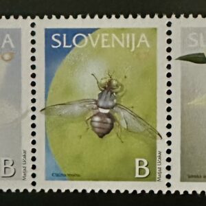 Orquídeas de Slovenia