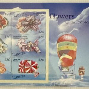 Orquídeas de Liberia