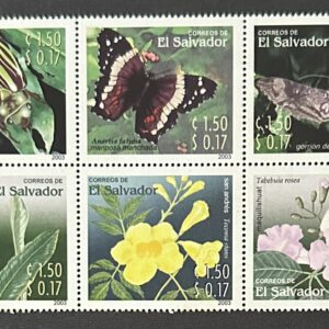 El Salvador - Flores e Insectos