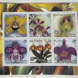 República Somalí (Orquídeas)