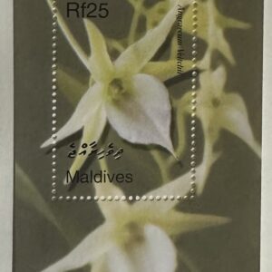 Maldives (Orquídeas)