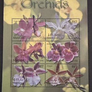 Maldives (Orquídeas)