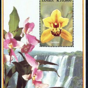 Orchids of Zambia and Africa