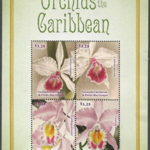 Orchids of the Caribbean