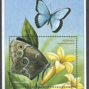 República Centroafricana - Mariposa morpho