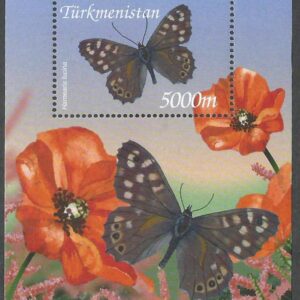 Turkmenistán - Mariposa