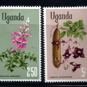 Flora nativa de Uganda