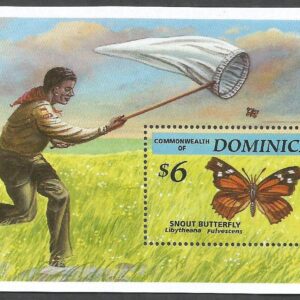 Dominica - Butterfly catching