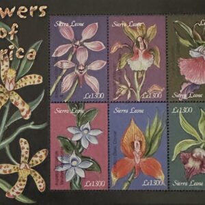 Sierra Leone - Orquídeas de Africa
