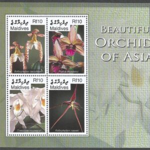 Beautiful Orchids of Asia - Maldives