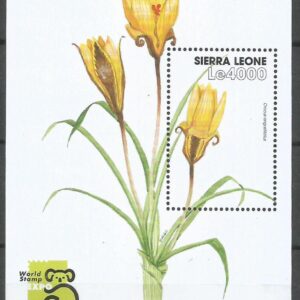 Sierra Leone - Azafrán Dorado MS 3264