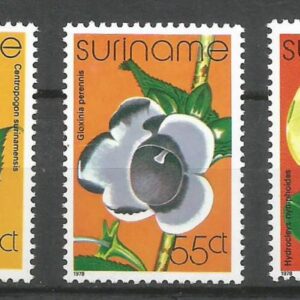 Suriname - Flores (1978)