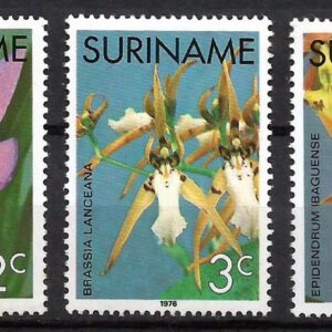 Suriname - Orquídeas (1976)
