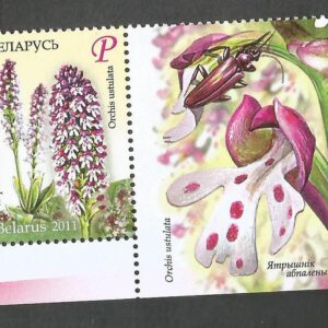 Belarus - Orquídea manchada (2011)