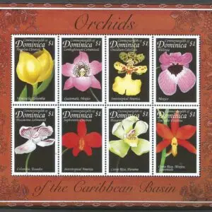 Dominica - Orquídeas 1999