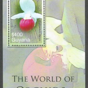 Guyana - The World of Orchids