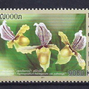 Orquídeas de Laos