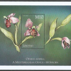 Lesotho - Orquídeas (1999) BL 147