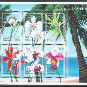 Maldives - Tropical Orchids