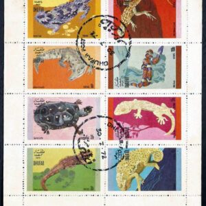 Oman, Dhufar - Reptiles