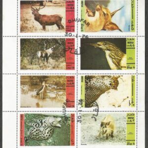 Omán, Dhufar. Animals 74