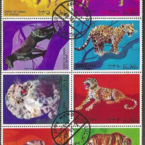 Omán - Wild Cats
