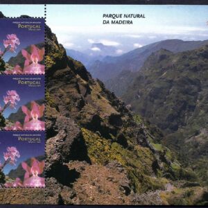 Madeira - Orquídeas de montaña