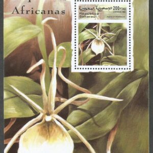República Saharauí - Orquídeas Africanas (1999)