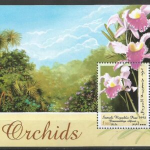 Somalia - Orquídeas (1998)