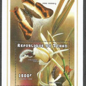 República de Chad - Mariposas (Palla usheri y orquídeas)