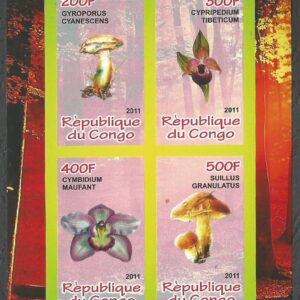 República del Congo - Hongos y Orquídeas