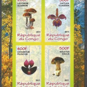 República del Congo - Hongos y Orquídeas (2011)