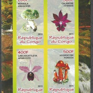República del Congo - Hongos y Orquídeas (2011)
