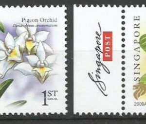 Singapore - Flores (2009)