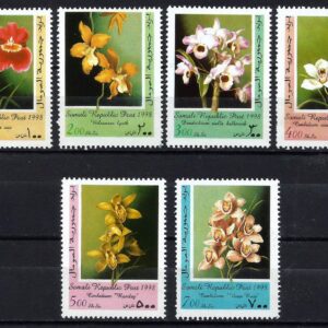 Somalia - Orquídeas (1998)