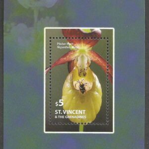 St. Vincent & Granadinas - Plantas carnívoras