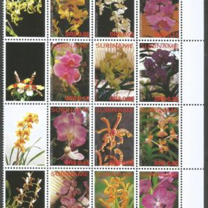Suriname - Orquídeas 2006