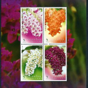 Tailandia - Orquídeas (2010) 2993-2996