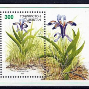 Tajikistán - Flores de Tayikistán (1998) MS
