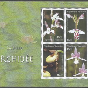 Togo - La Belle Orchidée