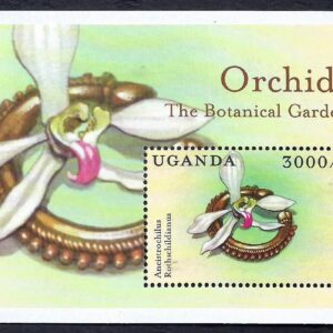 Uganda - Orquídeas (2000) 2233
